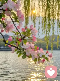 💕如果你是一个胡萝卜，你靠近猫时，猫会对你不屑一顾甚至反感。

而当你靠近小白兔时，小白兔会对你特别喜欢.....

不纠结的人生态度，重要的是认识自己，接纳自己，然后，将自己投入于在适合自己的环境中，欢喜在己，褒贬由人！配图