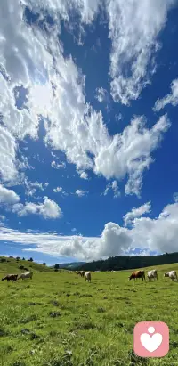 💕李玫瑾教授曾说过：

很多孩子并不是物质上缺少什么，而是在精神上找不到归宿。他们有家，却无处安放自己的思想。

给孩子一个遮风挡雨的房子不难，难的是给他一个灵魂可以栖息的家。

那些看起来阳光开朗的孩子，内心可能正在承受着巨大的孤独。

毕竟，有些家能让孩子踏实，有些家却让孩子想逃。

当孩子在思想上无家可归时，再好的物质条件，也填不满内心的空洞。配图