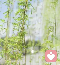 ❤️人过中年的顿悟

前方路不通时要学习就转弯，心不悦就看淡，这才是顶顶的活法

你是否也有过这样的瞬间？

夜深人静，扪心自问，肩上扛着过往，心里装着疲惫。

年少时以为“三十而立”是理所当然，如今却连“四十不惑”都走得磕磕绊绊。

我们不再奢求命运的偏爱，只求岁月能温柔以待。

人到中年，要明白一个道理：人生最好的状态，不是一路高歌猛进，而是懂得在恰当的时候转弯。配图