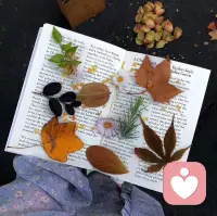 羅斯福：“唯一值得恐懼的，就是恐懼本身。”

別怕選錯(cuò)，怕的是不選，別怕跌倒，怕的是躺著。  

愿我們走到頭，回望這一趟，都能像老茶館里的客人，抿一口粗茶，咂咂嘴，說(shuō)一句，味兒夠沖，沒(méi)白來(lái)。配圖