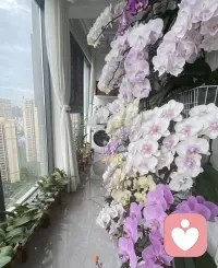 人的脾气就像握在手中的一把火炬，本想用它去伤害他人，却不知伤得最深的是自己的手。配图