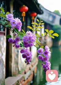 💕焦虑的“根”可能不在“不够”，而在“比较”配图