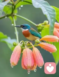 💕作家村上春树说：“如果有一天，让你心动的再也感动不了你，让你愤怒的再也激怒不了你，让你悲伤的再也不能使你流泪，你便知道这时光，这生活给了你什么，你为了成长，付出了什么。

心一旦消失，也就没有失落感，没有失望，没有失去归宿的爱，剩下的只有生活，只有安安静静、无风无浪的生活。”


​能够控制自己情绪的人，比拿下一座城池的将军更加伟大。

控制情绪的本质，并不是你的情绪已经像洪水一样破闸而出的时候，你强行把情绪的洪水给压住。

是无论碰到什么人，遇到什么事你都能够稳如老狗，从容不迫，你的情绪的洪水根本就不可能泛滥。

在别人眼里，你就根本没有情绪。

在自己这里，即便情绪也会波澜起伏，但是你不会让他发酵，不会让他战胜你的理智，不会让他左右事情的发展方向。配图