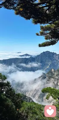 💕原生家庭疗愈


人的大脑终其一生都在变化。

哪怕童年经历创伤，只要成年后获得安全的关系、持续的自我觉察与心理干预，我们依然可以重建内心的安全感。

正如心理学家卡尔·罗杰斯所说：  “人不是被过去决定的，而是被对未来的期待所塑造。”配图