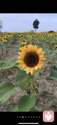 世界很大，但属于你的时间和精力很小。别让别人的风景，遮蔽了你自己的路。你的能量，值得用在真正值得的地方。

因为真正能撑起灵魂的并非纷繁世界的倒影，而是我们亲手耕耘出的那份笃定与充实。配图