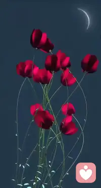 💕我们活在这个世界上

和一只蚂蚁、一片树叶，一只甲壳虫、一粒尘埃、一块石头没有任何区别。

无论你多牛多厉害多了不起，都只是自我感觉良好。

最后的结果都是变为尘土，归于彻底的虚无。

什么都没用，什么都不存在。

真正幸福的人，就是接纳人生的无意义，以顺其自然的态度过随遇而安的生活。

道德经有云，道法自然。

人法地，地法天，天法道。

永远不要尝试和命运掰手腕，更不要说我命由我不由天这样的傻话。

学会向死而生，自然而然！

无论遇到怎样的困难和低谷，
 都要表现得若无其事，心无所谓。
做一个无可救药的乐天派，随缘任运，随物赋形。

命运把你捧上山巅，你就一览众山小。命运把你摔下低谷，你就心甘情愿的当一棵小草。小草也会很幸福，简单而明亮。

对人生不要心生恐惧，该咋地就咋地。对未来不抱任何希望，生活本来就是见招拆招。

活好当下，享受当下，没心没肺，没羞没臊，自在安好。配图