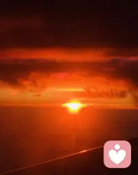 其实每个人都曾经在颠沛流离中度过，应该没有一个人是一帆风顺的，一帆风顺是个形容词，应该是不存在的，磕磕绊绊应该才是大多数人的人生。

就像麦子它是在地里面生长时间最长的，秋天播种经过冬天和春天在到夏天在丰收，一年四季它都经历，冬天麦子死了，到了春天麦子又会长出来，这个时候出新的芽、春芽，这颗麦子还是麦田的麦子，但它是经历过生死的麦苗。

所以要相信时间，给时间一点时间，世界就是变化，唯一不变的变化就是变化，所以当客观的春天来了，可能就会又活过来了。配图