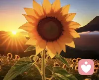 抑郁时的自我关怀，不是逼自己好起来，而是温柔接住当下的你。

允许自己低落、疲惫、不坚强，不必强迫乐观。
少一点自我批判，多一点体谅，像对待受伤的朋友那样对待自己。

好好吃饭、好好睡觉，做最简单的小事：晒晒太阳、喝杯温水、慢慢呼吸。

不追求立刻变好，只要求今天比昨天多爱自己一点。

你不必完美，不必强大，此刻好好活着、好好照顾自己，就已经很了不起了！配图