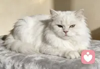 生活里的磕磕碰碰，就像走路踢到石子。

你疼一下，过去了，继续走。非要蹲下来跟那块石子算账，走不远的。

​真正的强大，不是能打败多少人，是能不在乎多少事。配图