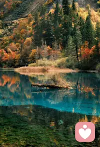 🌹旅游的意义

我们大多都有过这样的感受：长期困在同一个城市、同一份工作、同一种生活节奏里，日子像被按下了快进键。

每天重复着相似的路线，面对着熟悉的环境，做着惯性的事情，时间便在不知不觉中飞速流逝。

一转眼就是一年，再回头已是几年、十几年，恍惚间就老了。

明明人生走过了漫长岁月，可回忆起来却一片空白，仿佛什么体验都没有留下，就匆匆老去。这种感觉，才是对生命最无声的消耗。
 
而旅行，恰恰是对抗这种“时间加速”的最好方式。

当你踏上陌生的旅途，走进不同的城市、山川、街巷，置身于全新的环境之中，所有的感官都会被重新唤醒。

陌生的风景、不同的口音、新奇的食物、未曾见过的人文风情，会让大脑从麻木的重复中清醒过来。

每一步都是新的遇见，每一眼都是新的感受，每一刻都充满未知与惊喜。
 
在这样的状态下，时间会神奇地“慢”下来。一天的旅途，能装下平时好几天的体验；一次短暂的出行，留下的记忆，远比宅在家里几个月还要深刻。

我们常说人生苦短，可真正短的不是时间，而是贫瘠、重复、毫无波澜的日子。

旅行并不会真的把一天变成48小时，却能在同样的时间里，塞进更丰富的经历、更鲜活的感受、更难忘的瞬间。
 
从这个意义上说，旅行不是在花钱，而是在为生命“扩容”。

见得多了，心就宽了；走得远了，格局就大了；经历得多了，人生就厚重了。

那些在路上见过的山河湖海，遇过的人间烟火，都会悄悄变成生命的养分，让我们不再被眼前的鸡毛蒜皮困住，不再为无关紧要的人和事内耗。配图