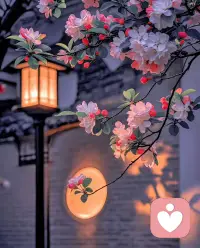焦虑不过是灵魂发出的信号，它在提醒你：你失去了与内在自我的连接。配图