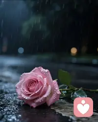 人性本就复杂，朋友关系更是一面照妖镜。


不涉利益时，大多温和友善；一旦牵扯得失，真心假意便一目了然。好的朋友相互滋养，彼此鼓励，让人变得柔软又有力量；而消耗型的关系，只会不断索取情绪，让人疲惫自卑。

与人相交，不必掏心掏肺，保持分寸与边界。

不高估人性，也不低估善意，合则相处，不合则远离。

不必强求所有人都懂你，珍惜那些让你放松、让你变好的人，其余的随缘就好。

守住自己的能量，真诚有度，才是最舒服的处世之道。配图