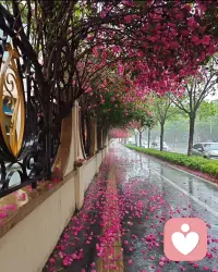 你总要一个人熬过所有的难，总有一天你会发现，生活的酸甜苦辣都要自己尝，因为成长本就是一个孤立无援的过程。教会了我们如何在这个瞬息万变的世界中，保持自己的心理平衡。配图