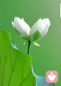 当你讨厌一个人，对某个人心生芥蒂的时候，你是在讨厌这个世界。
那么最先受伤的，就会是你自己。

厌恶、不满、抵触、逃避，当你对外散发这种负能量情绪的时候，外界也同样会消耗你。
你越讨厌谁，谁就能控制你；
你越在意什么，什么就越能消耗你。

真正有智慧的人，绝不会用无端的情绪来消耗自己。
当他们不认同的时候，他们选择不接近，不深交，但不会心生厌恶。
因为他们不想把自己的情绪主权拱手相让。

他们把讨厌别人的时间，用来经营自己。
把消耗情绪的心思，用来热爱生活。
勿在别人的心中修行自己，
勿在自己的心中强求别人。
厌而不怒，远而不恶，
这是一个成年人最顶级清醒的活法。配图