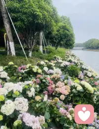 屏蔽力是一个人最顶级的能力，不要去窥探别人的生活，也不要去揣测别人的想法，更不要陷在过去，也不要忧虑未来。


任何消耗你的人和事，多看一眼都是你的不对。

把时间和精力还给自己，在声色名利中守住本心，在世俗目光里信步前行。