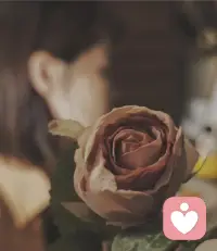 爱情是锦上添花的点缀，而经济与智商，才是婚姻里真正的压舱石。