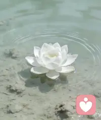 情绪本无对错，焦虑也并不可耻。

很多时候仅凭自我调节很难走出情绪死循环，一味硬扛只会内耗身心、加重负担。向内修行是自我救赎，向外求助亦是一种清醒与勇敢。

专业的力量能帮你梳理情绪根源，用科学的方法疏导压力、缓解焦虑。不必独自深陷迷茫，坦然接纳帮助，好好善待自己。修心自愈，借力前行，才能和生活温柔相处。配图