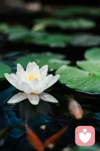 自卑不是事实，而是一种主观感受。


你觉得自己不行，不等于你真的不行。

自卑情结，是把‘暂时的不足’却当成‘永久的缺陷’。配图