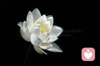 ​千万别为了迎合暗影，去掐灭自己的光。


​守住你清透的磁场，

只管自顾自地照亮夜空就行！配图