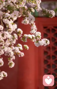 道家有个说法，叫“阳根出阴土”
世人常道母凭子贵，我却说——
子凭母贵，这才是天道真相。


​你细品一个事儿：
很多男人对孩子的那点疼，
压根不是因为血脉，是因为炕上那个女人。


​《道德经》讲“谷神不死，是谓玄牝”
玄牝者，天地根，母性才是承接万物的根本。


男人若不爱他内人，你信不信——
他看自己骨肉的眼神，跟看个陌生崽没两样。
不但不疼，还挑三拣四，嫌孩子这不好那不对。
这叫什么？这叫“恩薄则子轻”。

​更有甚者，
一旦迷上了外头女人，转头就给人家当便宜爹，
欢天喜地养别人的崽，比对自家的还上心十倍。
你当这是昏了头？错。
这是阳气失根，附了别处的阴土。

​《易经》有云：“坤厚载物，德合无疆”
大地不厚，万物难生。

女人不在了，男人的那点慈父心，就像浮萍——飘哪算哪。

​所以你看，
孩子将来的根基，从来不是爸爸单方面给的。
是妈妈在婚姻里有多少分量，孩子才能借多少光。
​一个人爱不爱你，
看他待你孩子的态度就全明了了。

​父威由妻起，子运随母沉。配图