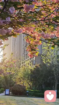 心理学家荣格告诉你：孤独，并不是一种缺陷，而是你选择走上“成为自己”这条道路的必然代价。


这种孤独不是被世界抛弃的凄凉，而是一种主动的、清醒的独处。


他们找到了与自己内心对话的方式，并在这种对话中，汲取着取之不尽的力量。配图