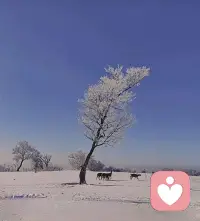 这世上最累的事，
就是试图向每个人解释自己；
最傻的事，就是为无关紧要的人改变方向。


你又不是人民币，何必求人人都喜欢？

正所谓真正的强大，不是让所有人理解你，
而是你根本不需要他们的理解；
不是活在别人的期待里，
而是活成自己的传奇。

愿你把耳朵留给风声，
把眼睛交给远方，
流言如落叶，踩过去就好；
偏见似乌云，终会散掉。配图