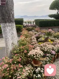 人这一辈子所有的痛苦，追根究底就两个字：执念。


太多人从小到大被灌输的观念就是，幸福全靠拼，得到了才算赢。

可现实偏要给你一巴掌：你越想控制的事，越容易失控；你越想证明自己行，越累得喘不上气；你把东西攥得越紧，它漏得越快。

就像苏轼，那可是千年一遇的大才子，早年一门心思要建功立业，要当大官，要被全天下人认可。
结果呢？

他越努力越碰壁，越坚持越受伤，拼了命想把命运攥在手里，命运直接把他从京城一路踹到海南，半只脚都踩进蛮荒里了。

换普通人早就崩溃了，可他偏偏在这个时候读懂了老子。

瞬间就醒了。

原来人生最好的活法，根本不是硬着头皮逆势往上冲，跟老天爷死磕。

不强求，不钻牛角尖，不跟自己较劲。

别人眼里的贬谪羞辱，在他这是没人打扰的历练。
旁人躲都来不及的人生低谷，恰恰是他醒过来的机会。

后来他在东坡开荒种地，搭个破房子就住下，吃着粗茶淡饭也能写出“东坡肉”的方子，日子穷得叮当响，心里却比谁都安宁。
他这辈子没攥住功名利禄，可他攥住了全天下最难得的东西：内心的自由。

所以读懂老子的人最后都会想通：真正的强大从来不是死磕到底，撞了南墙也不回头。

不纠结烂人烂事，不天天内耗自己，不对不属于你的东西强求，不硬撑着装厉害。

这才是人生最高级的强大。配图