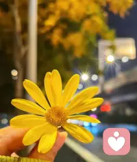 请相信自己的力量，
因为你不知道，
谁会借着你的相信开始相信了自己。  
——泰戈尔《用生命影响生命》 ​配图