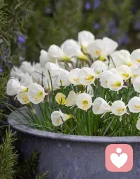 人間就是一條長長的大路，每個人都是一只背著重殼的蝸牛，殼里裝著理想、誓言，以及所有關于過去的執念，我們在路上爬行，尋找傳說中的天堂。能夠堅持到底的人，很少；半途而廢的人，很多。但無論是堅持，還是放棄，這兩種人活得都不輕松。那些堅持的人，哀嘆希望的渺茫；那些放棄的人，卻已經失去了希望。