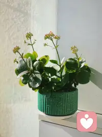 當你陷入人生困境時，想要止住頹勢，首先要做的是安靜下來。因為靜就是吉，不亂動就是不錯。