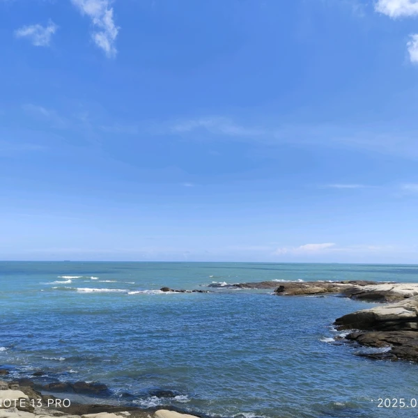 心海