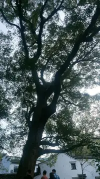 ??
稻?和盛?夫曾經說過：“把?間時?放在床上，成?了就?體重；

把?間時?放在書上，成?了就?智慧；把時?放間?在鍛煉，成?了就?健康。

把?間時?放在勤勞，成?了就?財富；把?間時?放在市場，成?了就?事業；

把?間時?放在家庭，成?了就?親情；行動?哪在?里，收獲就?哪在?里，心?在用?哪里，風?就景?在哪里，提?自升?控力，才?掌能?控人生?！?配圖