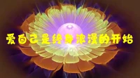 ?你生命中發生的一切都能豐富你，
只要你帶著一定的覺知去處理它。

接納，允許自己
讓樹成樹
讓花成花配圖