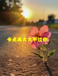 卡點再大，大不過自己

越來越喜歡這句話，行動中，也越來越能體會，其中的真正含義

面對卡點，滿腦子都是難，那完蛋了，你被“困難”吞噬了

如果，想的是，怎么解決，我還能做點什么……

恭喜你，你已經開始，翻越卡點，接近達成所愿啦！配圖