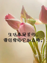 生活本是苦的，要經常給它加點糖。
這糖，可以是一頓美食、一個小禮物、一次旅行。

無論是什么，只要用心去感受、去體驗，就能讓生活的苦，變得不再那么難以承受。

讓這份甜意，成為前進的動力和支撐。讓生活變得更加美好、有趣，讓自己的每一天都值得。配圖