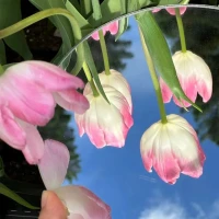 畢淑敏曾寫(xiě)道：

“等著別人來(lái)愛(ài)你，不如自己努力愛(ài)自己。”配圖