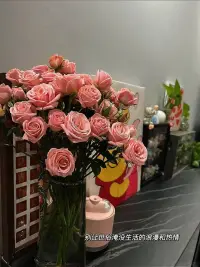 這個世界上沒有不帶傷的人。
無論什么時候，你都要相信，
真正能治愈自己的只有自己。配圖