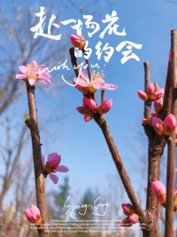 每一朵花都有自己的花期，
每個(gè)人也都有自己的節(jié)奏，

只要我們用更加純粹的心去享受我們當(dāng)下的每一件事情，

人生當(dāng)中的每一種境遇，我們總會(huì)在合適的時(shí)候迎來自己的花期。配圖