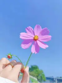 慈悲，不僅是對外界的慈悲，更包括對自己的慈悲。

原諒別人，每個人都有不得已，固有的行為模式、思維慣性太難打破，不評判、不糾纏。

放過自己，每一件事在自己能力范圍內已經做到了最好，沒有什么不能接受，活著的每一天都是幸運。配圖