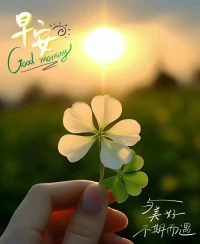 角度不同，沒(méi)有對(duì)錯(cuò)，
勿在別人心中修行自己，
勿在自己心中強(qiáng)求別人。配圖