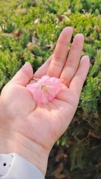 早鴨
真正治愈自己的，是自己的釋懷和格局，每個人的幸福和快樂都是自己創(chuàng)造的。

把時間和精力用在自己身上，一心一意做好當(dāng)下的事情，用內(nèi)心的熱愛去對待生活和感情，騰出心的空間，裝入更多的幸福

?配圖