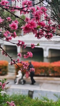 你不需要成為“更好的”自己

你只需要，更好地，成為自己配圖
