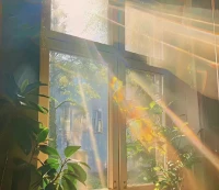 亞里士多德曾說過這樣一句話：放縱自己的欲望是最大的禍害。

請記住，你種下什么因，就會收獲什么果。配圖