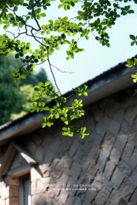 今天是 7 月2日
周二快樂

不自卑也不炫耀
要不動聲色地變好

每日能量日簽D2
把每個樸素的日子過成良辰
心理學讓生活更美好配圖