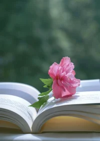 在所有的關系里，
誰痛苦誰改變，誰改變誰受益，

如果你堅持誰有錯誰改變，
選擇和傷害你的人繼續糾纏，
企圖讓他們意識到自己的錯誤，
那結果往往是他們既看不到你的痛苦，
也消耗了你的精力和能量，

要求別人改變，恰恰是把選擇權交給了對方，不與爛人爛事糾纏，把注意力帶回自己身上，是心態上的調整，得行動上的遠離……配圖