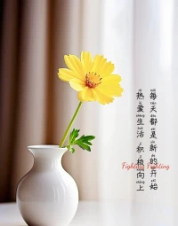 心中有陽(yáng)光

見(jiàn)的一定是光明

只要把陽(yáng)光裝進(jìn)心里

遇到的都是善良與美好配圖