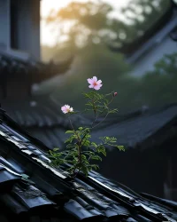 讓花成花，讓樹成樹
每個人所在的位置，是她的最佳利益;

每個人所做的事，都是完美的體驗。一切都是對的，一切都是好的。

讓花成花，讓樹成樹。

把自己還給自己，把別人還給別人，把孩子還給孩子，讓每個人都成為最好的自己。

#所遇皆美好 
 #用自己喜歡的方式生活#美好 
#讓花成花讓樹成樹
 #熱愛生活*熱愛心理學配圖