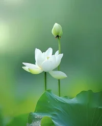 今天是7月6日
周六快樂

人應該學會自我成長

自我成全

任何時候

都不要把自己笑的權利交給別人

#淑巖的能量日簽
#把每個樸素的日子過成良辰
?配圖
