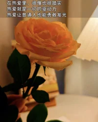 愛是對過往的尊重，

是對未來的期許。

用加法愛人 用減法舒壓

有乘法感恩 用除法解憂

幸有所愛，無畏無懼！

早安配圖