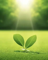 身心的滋養是成長的基礎。
慢慢來，不著急，本質上孩子不需要教育，他只需要一片肥沃的土壤，自己慢慢長出嫩芽，這份生命力會帶著他成為蒼天大樹。配圖